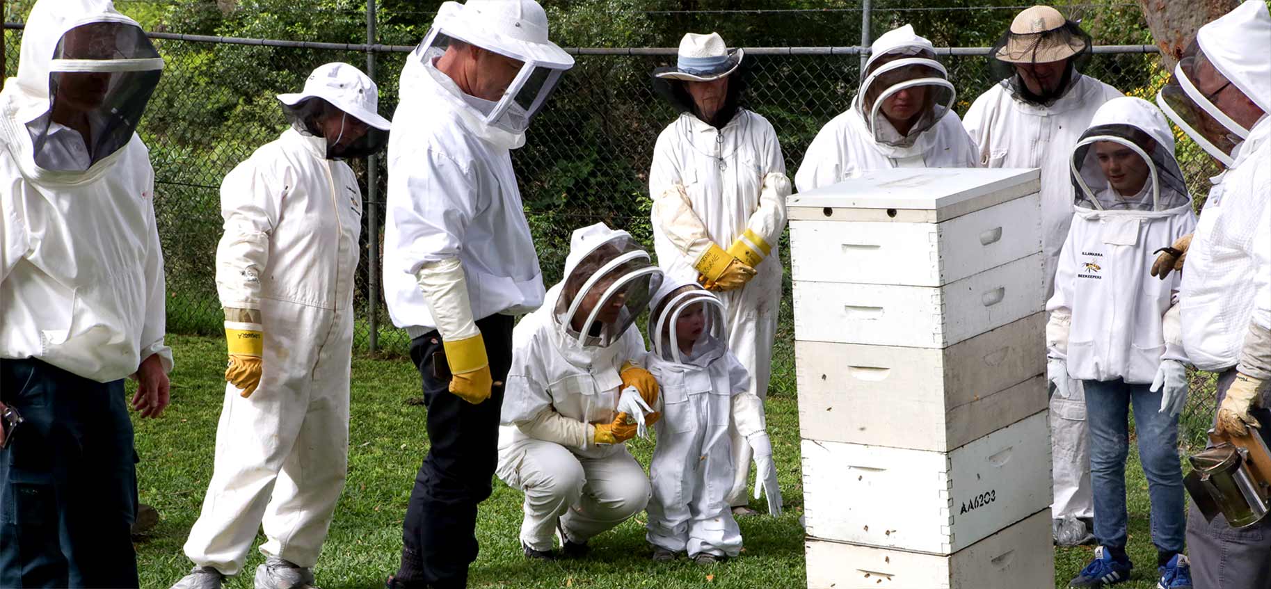 open-day-2018-illawarra-beekeepers-wide