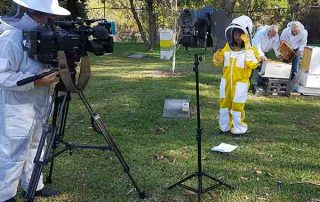 sbs-world-news-beekeeping-manuka-honey-01