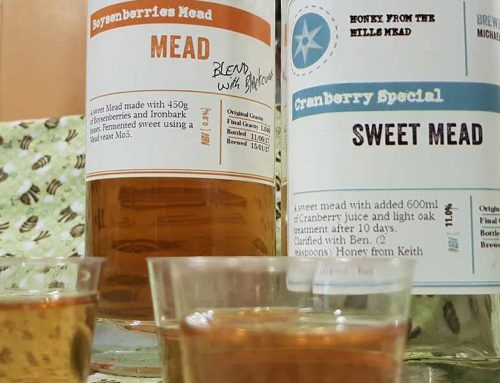 How to Make Mead: Matt’s Notes