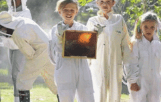 St-George-and-Sutherland-Shire-Leader-news-illawarra-beekeepers-open-day-2018-beekeeping-kids
