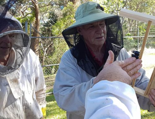 Swarm Prevention and Queen Spotting with Bruce White: Field Day 25 August 2019