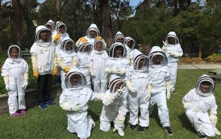Bees & Pollinators School Holiday Program