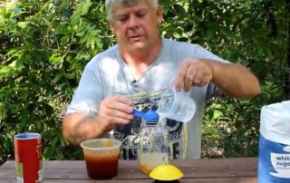 Catching Small Hive Beetle How to prepare and deploy lantern traps