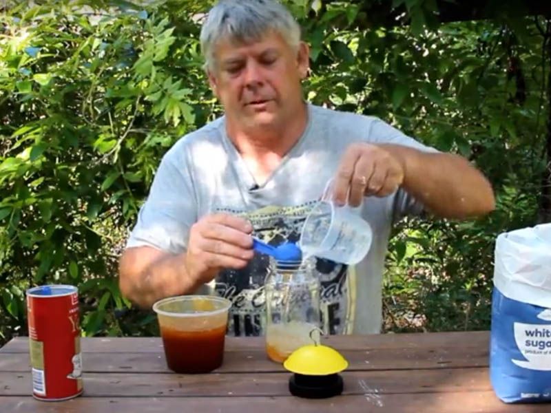 Catching Small Hive Beetle How to prepare and deploy lantern traps