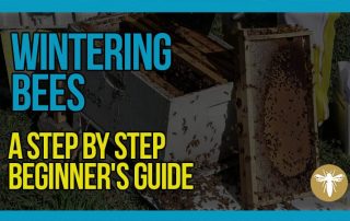 wintering-hives