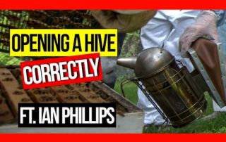 ABA-of-NSW-Field-Day-2019-Part-08-Opening-a Hive-Correctly-ft-Ian-Phillips-web-thumbnail
