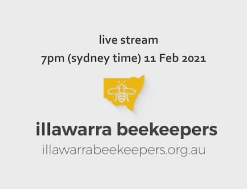 Q&A: BEE STINGS | Live Stream Feb 2021